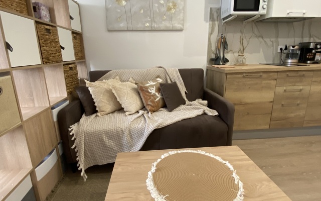 Apartamenty Studiya Skandi S Vidom Na Kreml