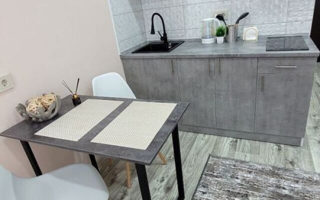 Студия СИБИРЬ HOUSE новой дом в центре