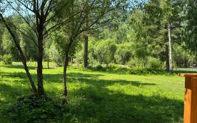 Chastny Dom Dom "tyalan"