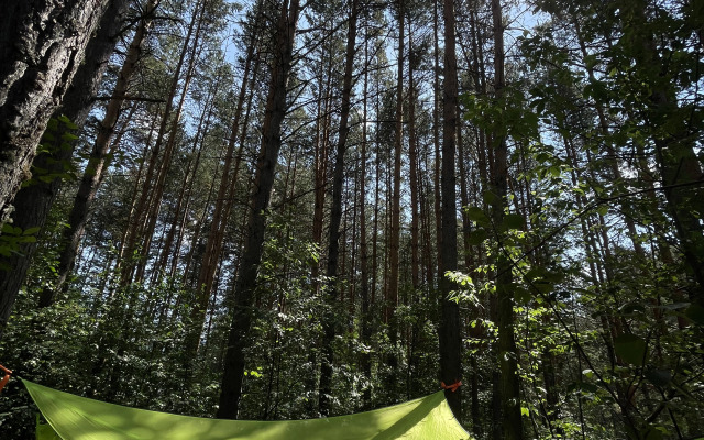 A-Frame Glamping