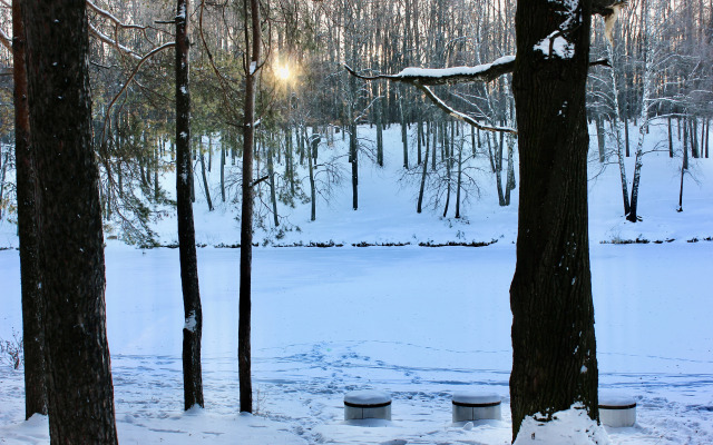 Квартира Зимняя лесная сказка в Казани
