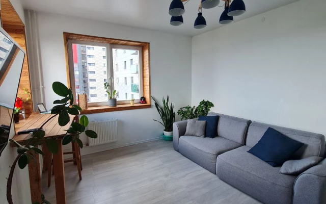 Olivinn S Vidom Na Onezhskoe Ozero Apartaments
