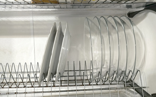 Апартаменты Евро Двушка Дельфины Попугаи