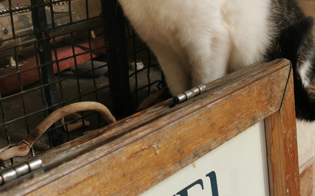 Хостел Harmony