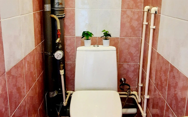 Odnokomnatnaya V Tsentralnom Rayone Goroda Flat