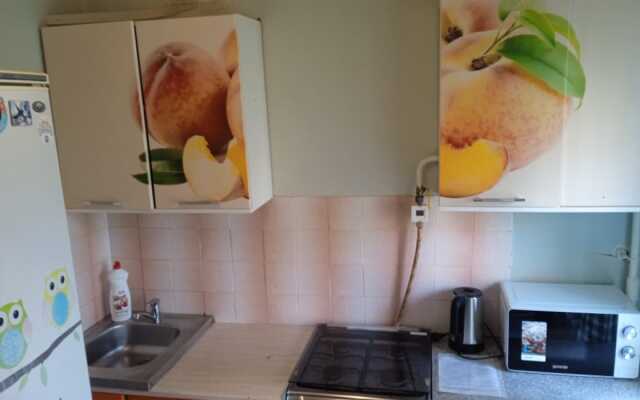 Polevaya 16 Apartments
