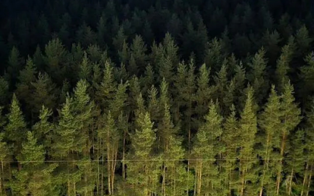 Квартира на Новочеркасской 51