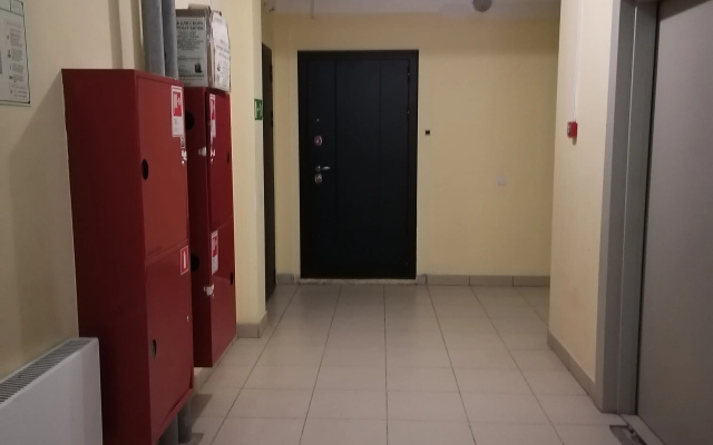 Квартира с окнами на лес