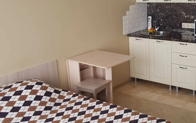V Devyatietazhnom Dome V Tsentre Adlera Flat