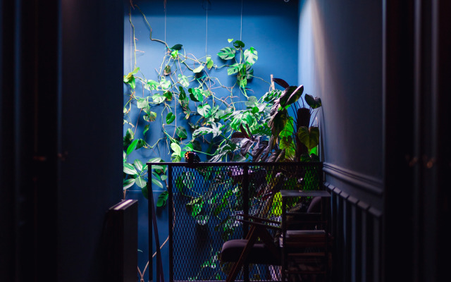 Отель Communal Hotel Sololaki