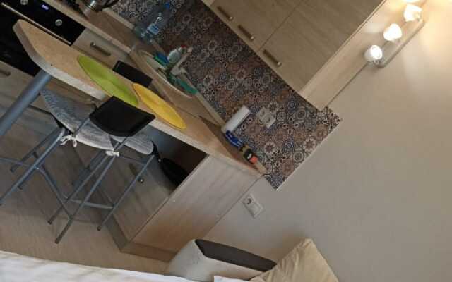 Na Kuryzhova 32 Flat