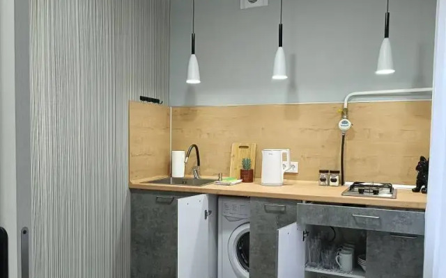 V Izhevske na Vostochnoy Flat