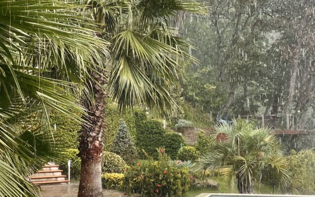 More I Palmyi Guest House