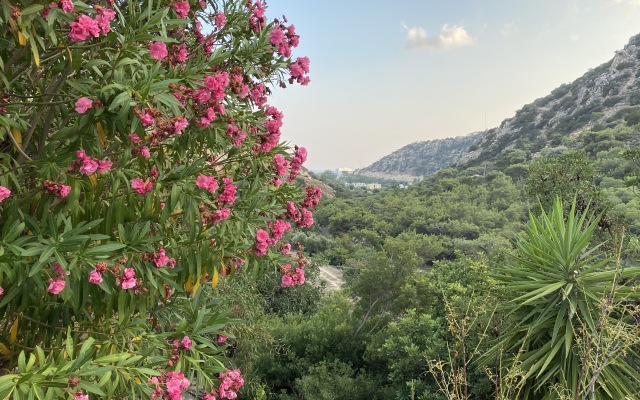 Oleander's Garden Apart-Hotel