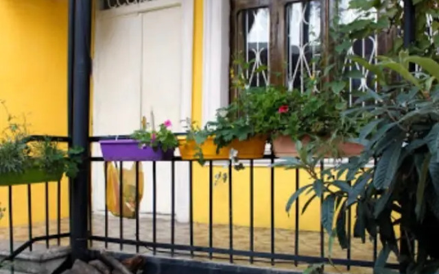 Colors Hostel