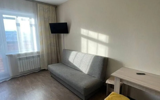 Studiya Na Lermontova 31 Flat