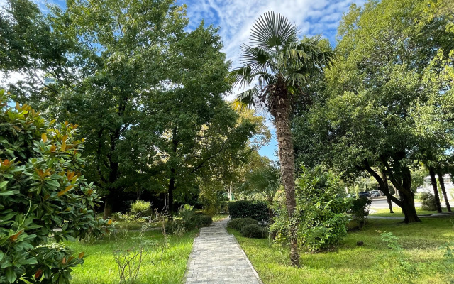 Апартаменты Комплекс Солнечный Дагомыс в Дагомысе отзывы, цены и фото ...