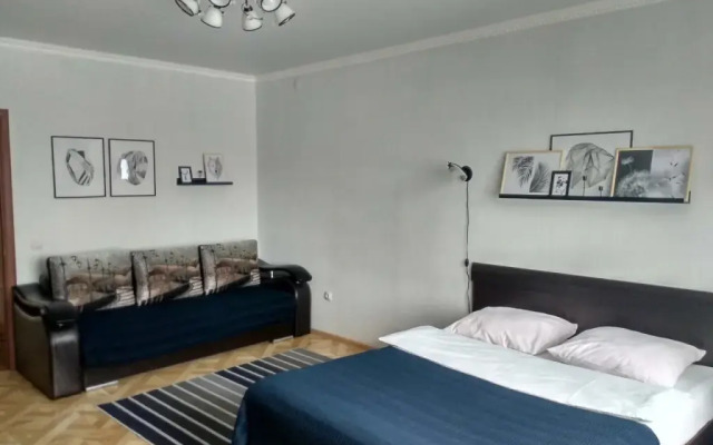 Апартаменты Двухкомнатные на Дуки, 2 этаж, Серые