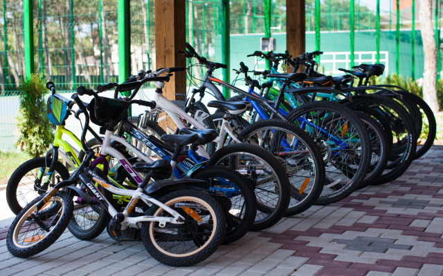 Отель Alma Park Resort