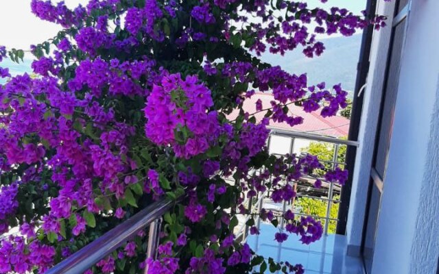 Elida Guest House