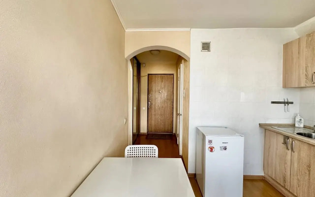 Komfortabelnye U Petrovskogo Parka/dinamo Apartments