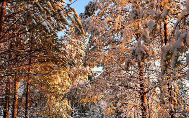 Частный дом MagicHome