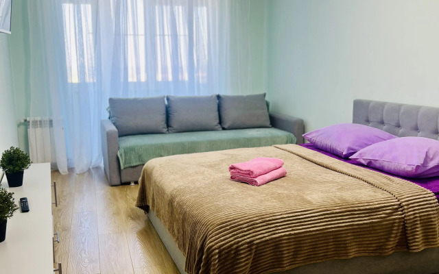 Dvukhkomnatnaya v tsentre goroda v elitnom dome Flat