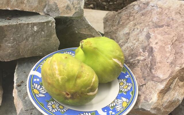 Гостевой Дом My Garden