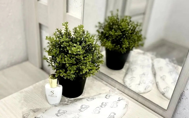 vidovaya na 4 gostya Flat
