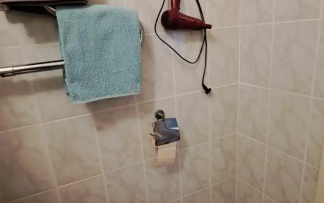 Uyutnaya odnushka v tsentre Flat