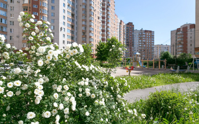 Апартаменты Морошка на Ленинском