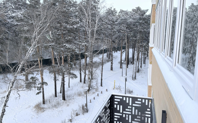 Квартира уютная у озера в тени соснового парка