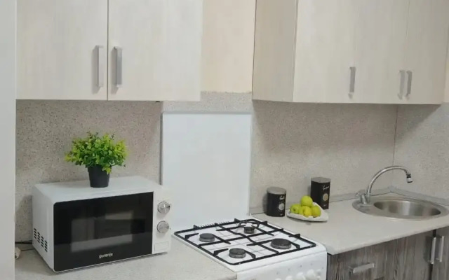 V Tsentre Goroda Flat