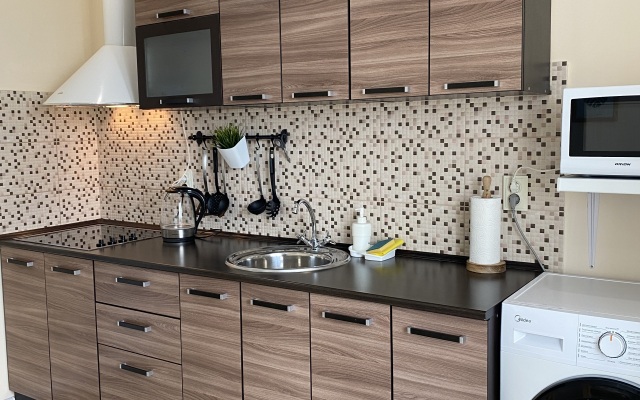 1-room Euro with mountain view Apartments