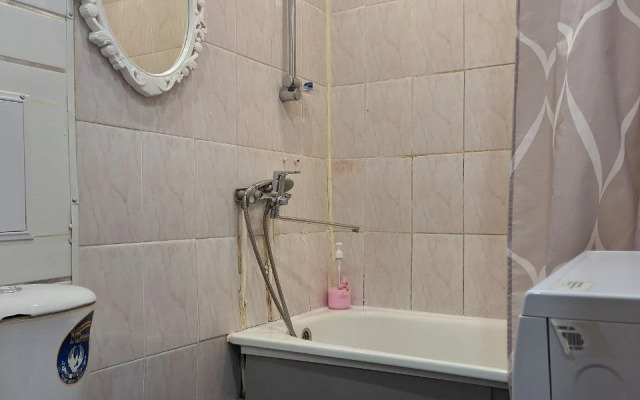 Uyutnaya Odnokomnatnaya  V Tsentre Flat