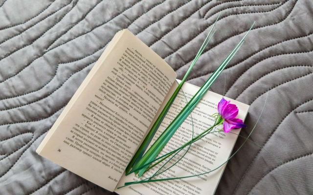 Апартаменты у Метро