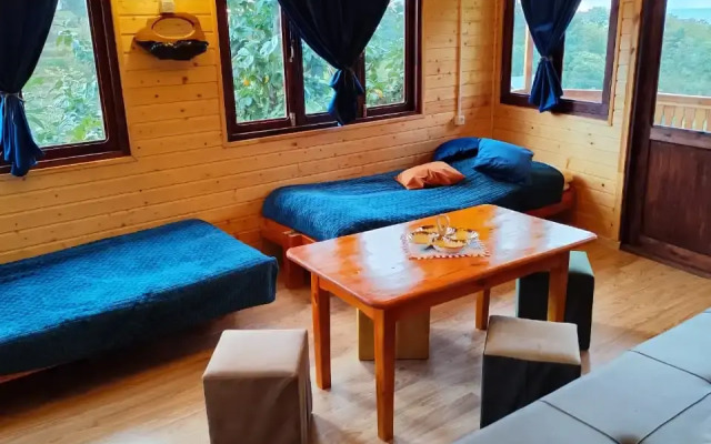TreeHouse GoldenSeaView TreeHouse Private house