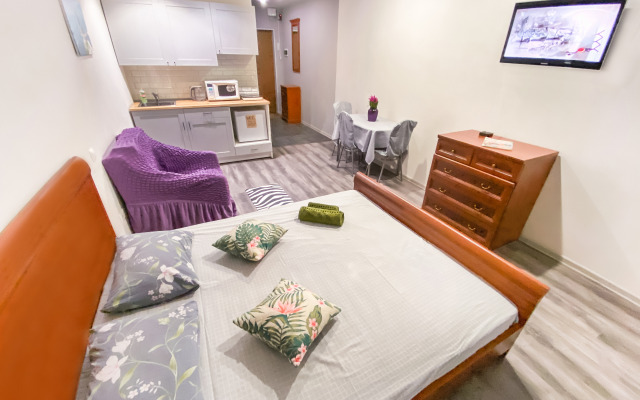 Uyutnaya Kvartira Vozle Sheremetyevo Apartments