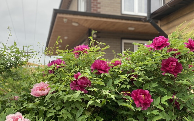 Гостевой Дом Апартаменты Александра