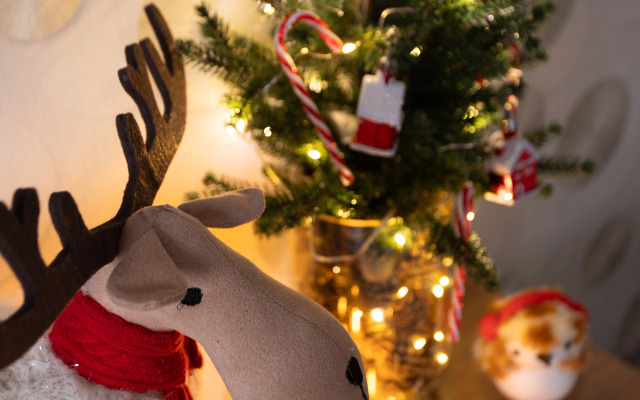 Prudius Apart V Tsentre Kronshtadta U Sobora Apartments