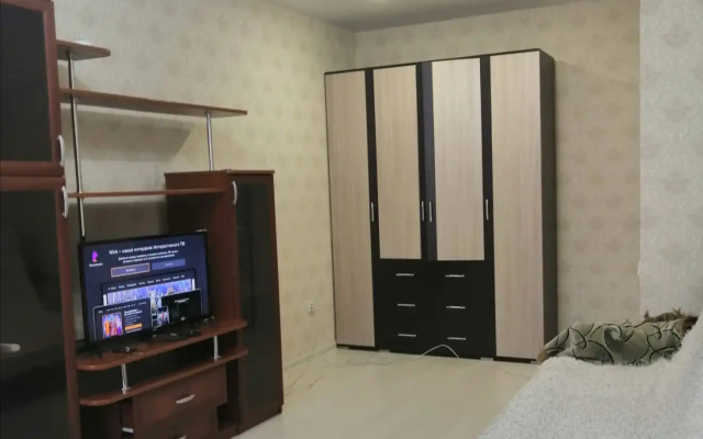 Uyutnaya Na Pirogova Flat