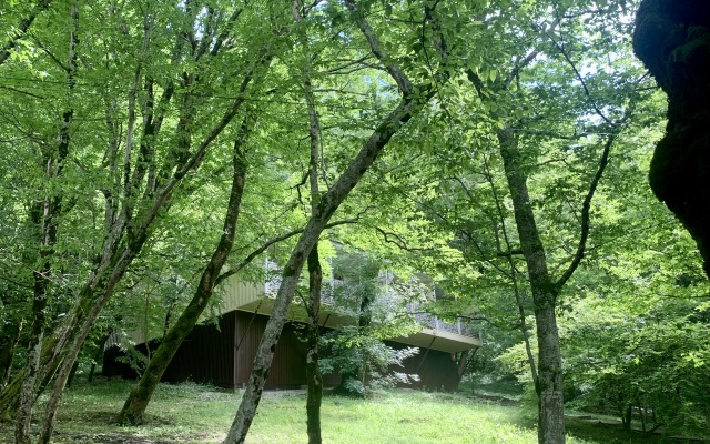 Primula Hotel