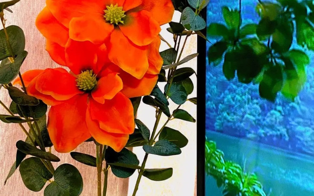 Квартира Добро пожаловать