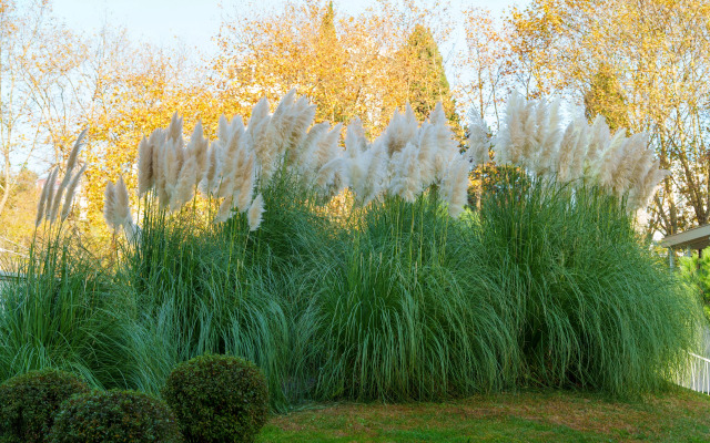 Dizaynerskie Matisse Apart s vydelennoy zonoy spalni Apartments