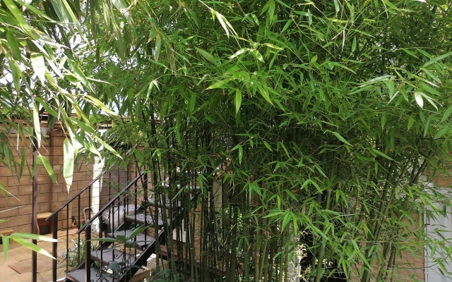 Апартаменты Мансарда в Тихом Центре Севастополя