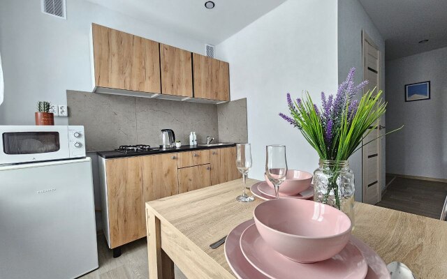 V Tsentre Apartments