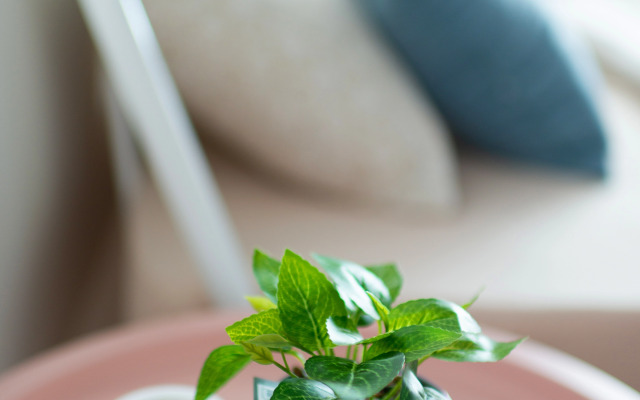 Апартаменты на улице Профсоюзная