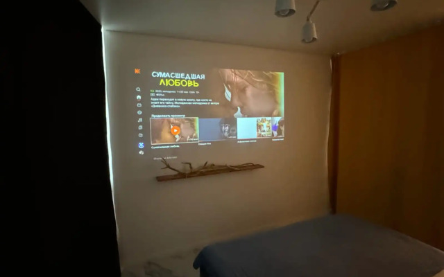 Апартаменты Авторские с проектором ЖК Державинский с видом на Дон