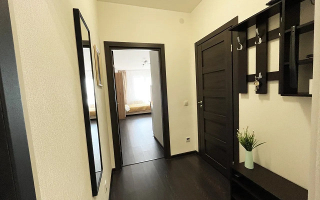 Solnechny Peterburg Flat
