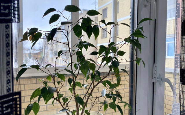 Апартаменты SeveRent на Профсоюзной 10